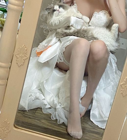电视剧甄嬛传免费观看