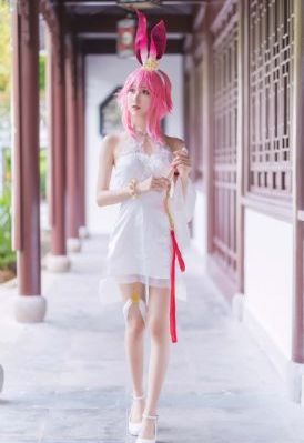 费鲤齐